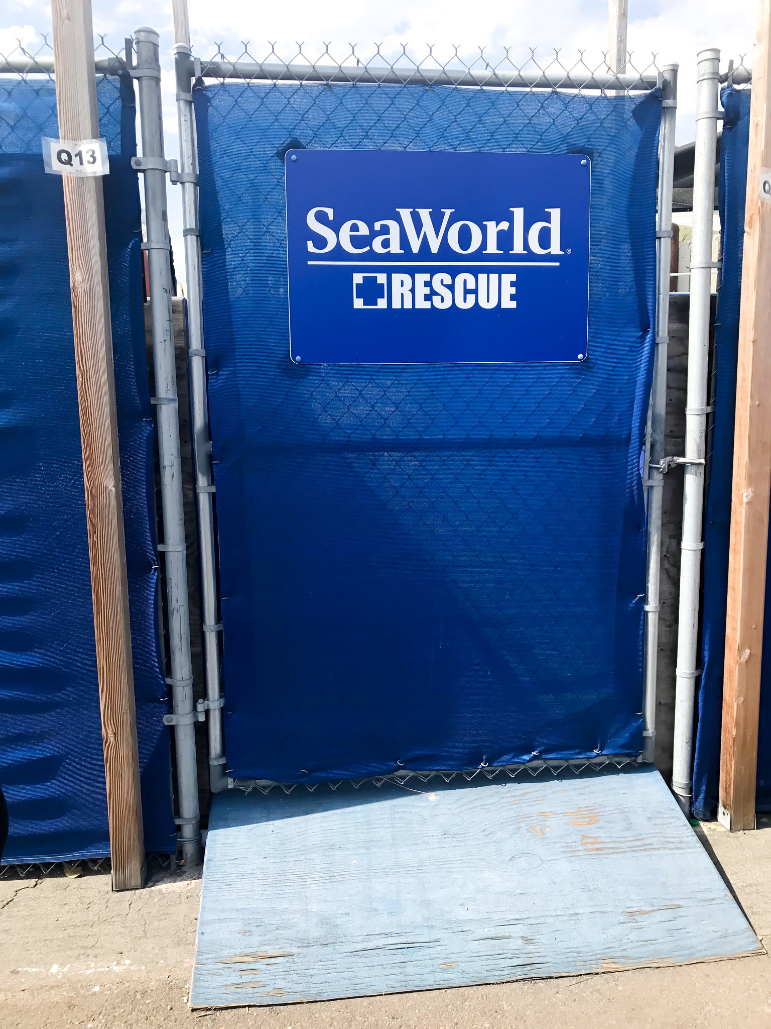 Behind The Scenes Family Day at SeaWord's San Diego with The Moms + SeaWorld Family 4-Pack Ticket Giveaway!!!