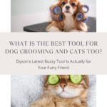 Dyson’s Latest Buzzy Tool Is Actually for Your Furry Friend